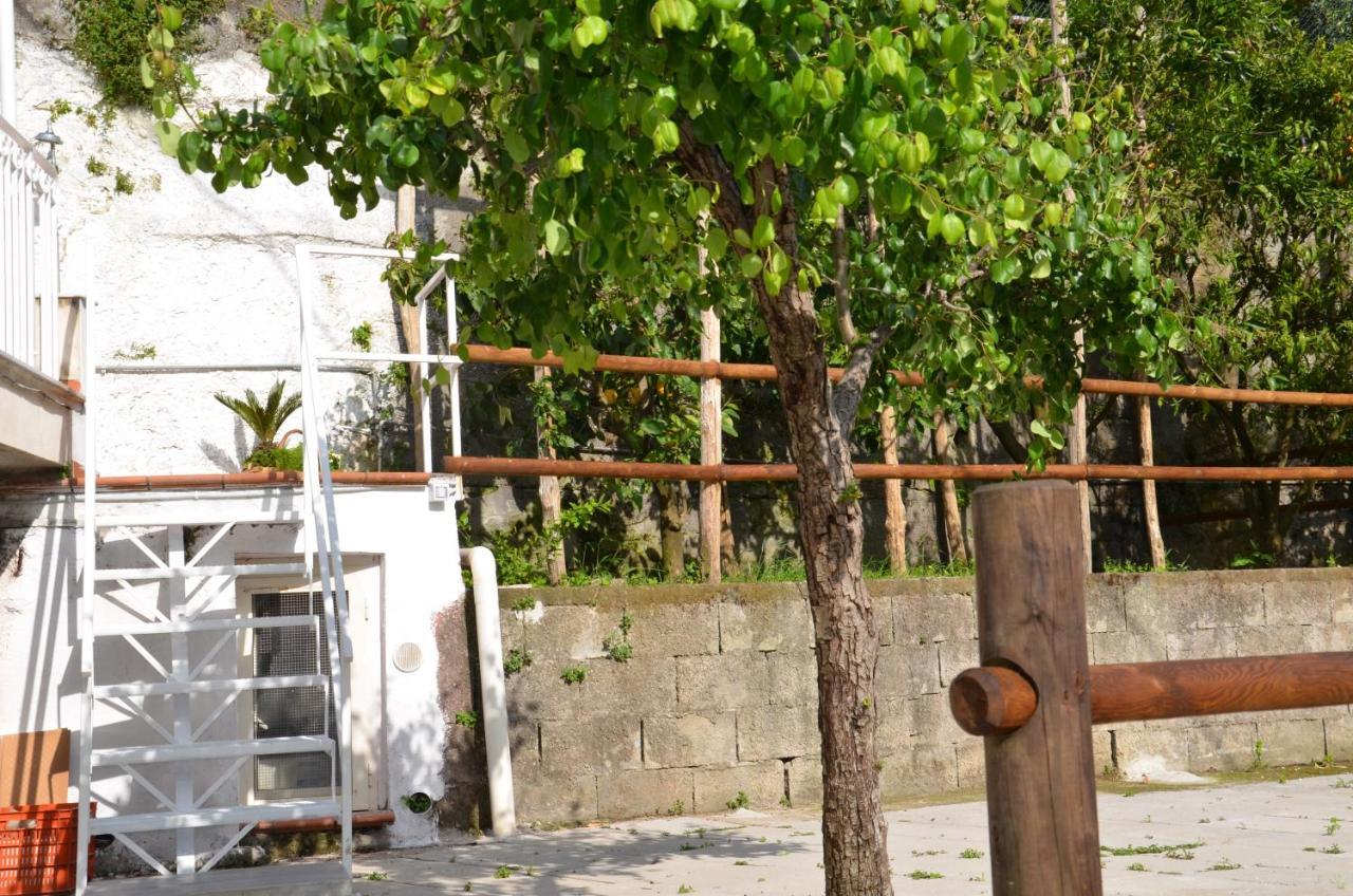 Villa Luciana Sant'Agnello Zewnętrze zdjęcie