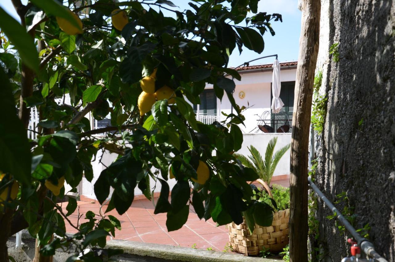 Villa Luciana Sant'Agnello Zewnętrze zdjęcie